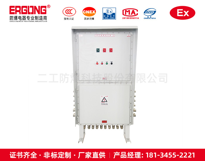 防爆配電箱（柜）-粉塵型