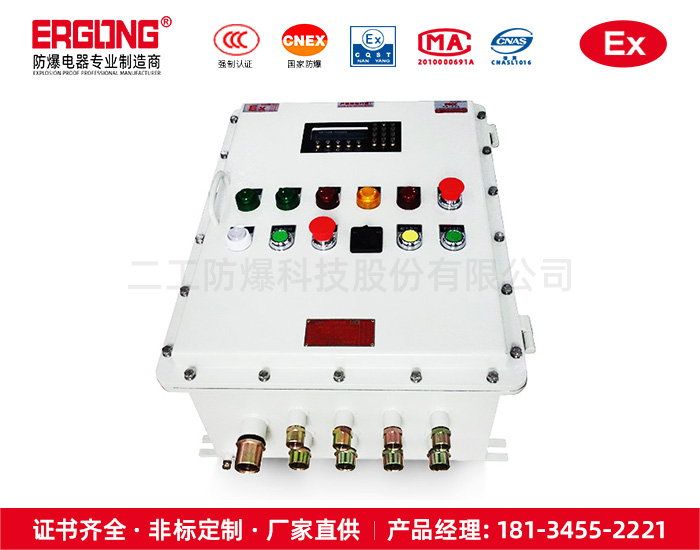 防爆儀表控制箱-10